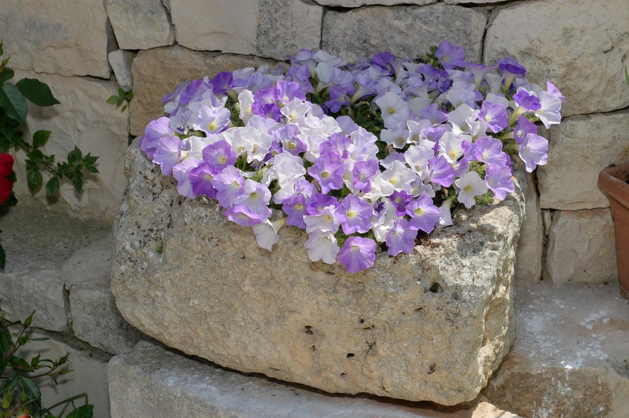 Astra Bed & Breakfast Alberobello Eksteriør bilde