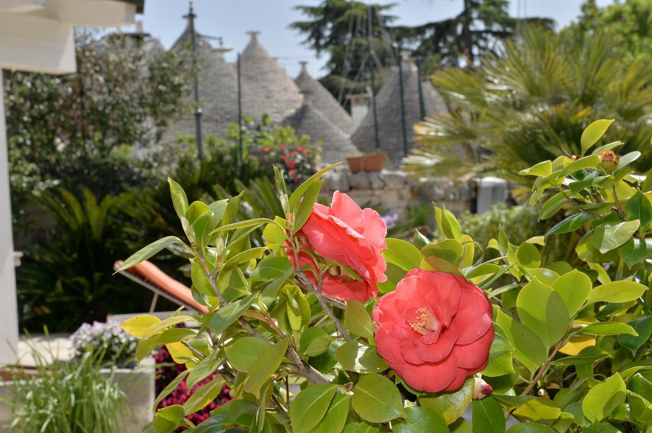 Astra Bed & Breakfast Alberobello Eksteriør bilde